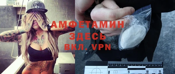 мдпв Богородицк
